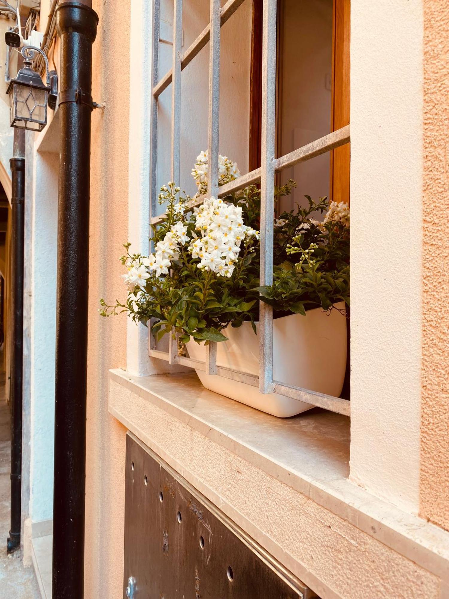 Casabella Chioggia Casa Indipendente Con Corte Экстерьер фото